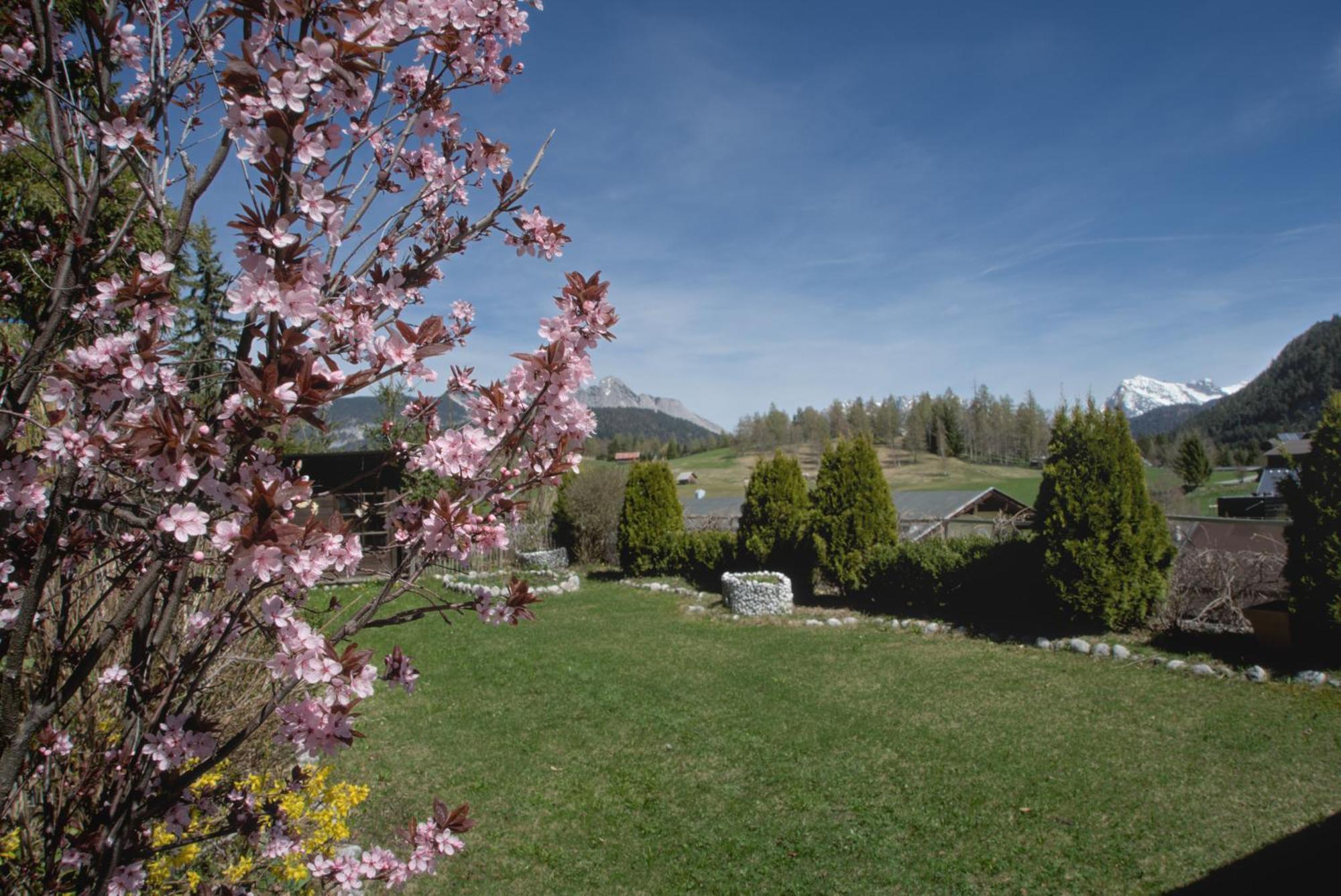 Apartmán Haus Tannengruen Seefeld in Tirol Exteriér fotografie